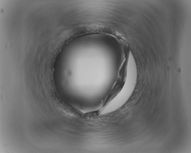 X0000071851153200607211845