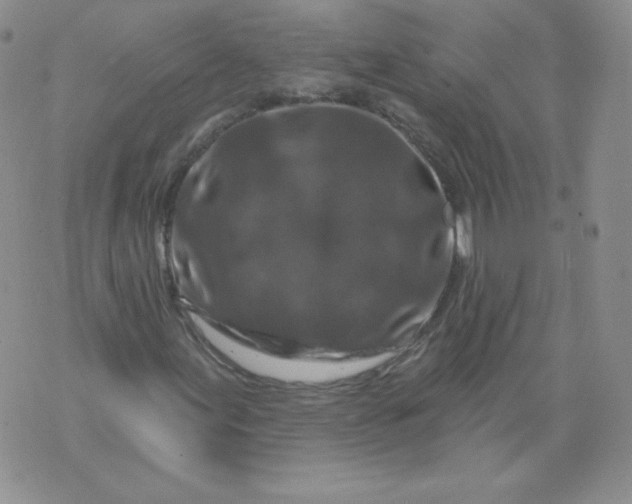 X0000071851155200607211845