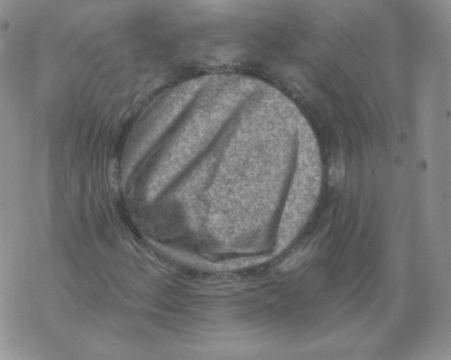 X0000071851156200607211845