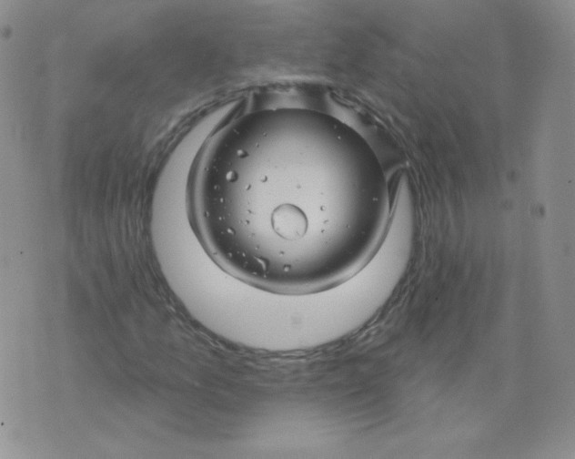 X0000071851157200607211845