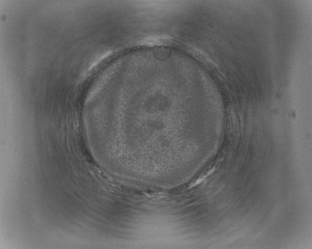 X0000071851158200607211845