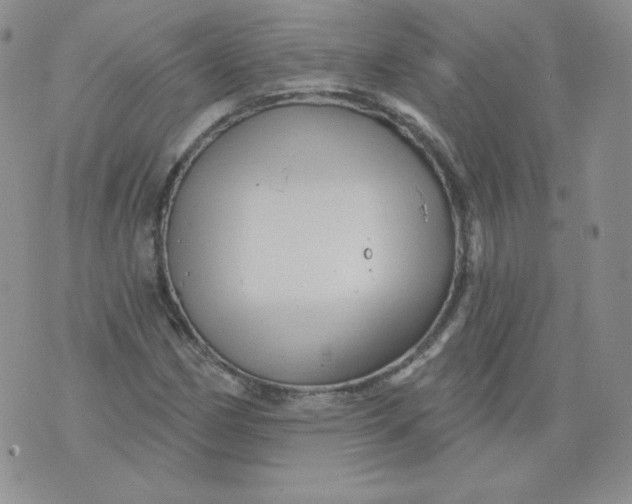 X0000071851162200607211845