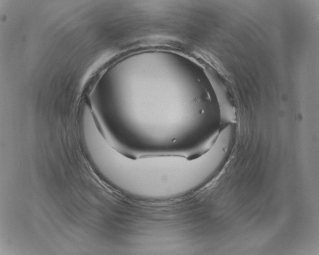 X0000071851164200607211845