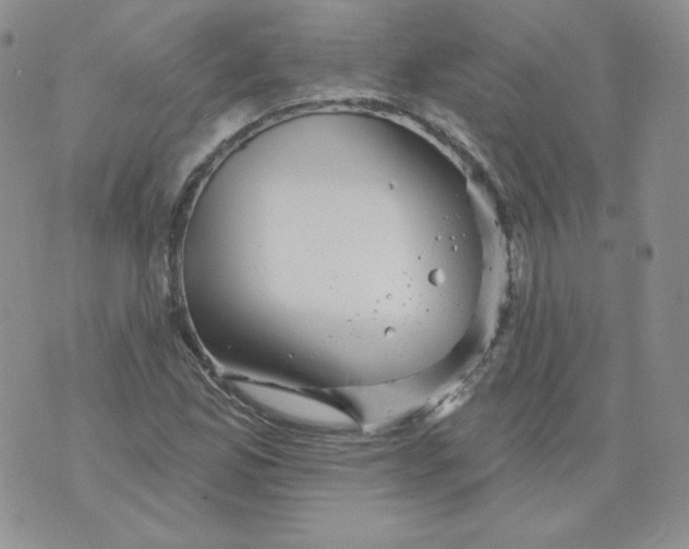 X0000071851165200607211845