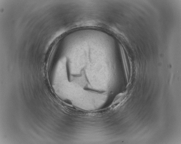 X0000071851166200607211845