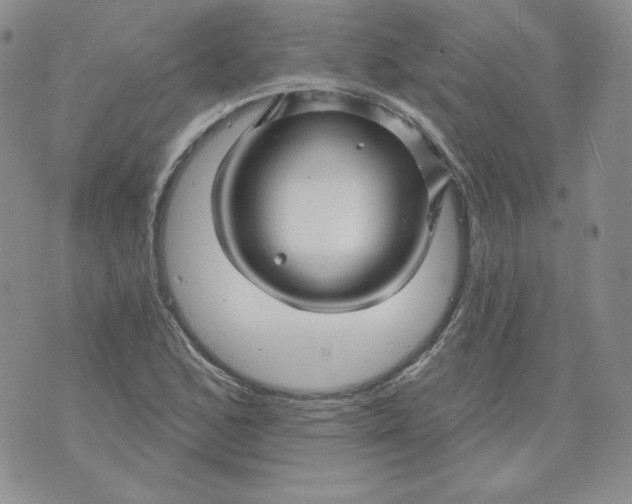 X0000071851168200607211845