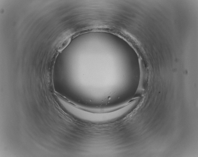 X0000071851169200607211845