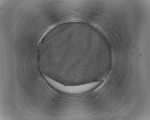 X0000071851170200607211845