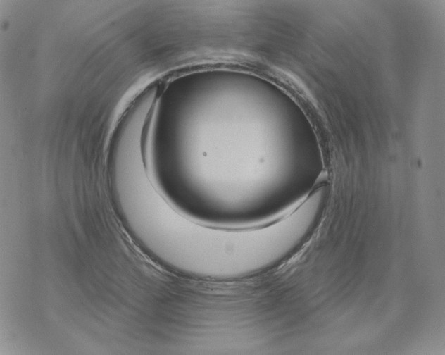 X0000071851172200607211845