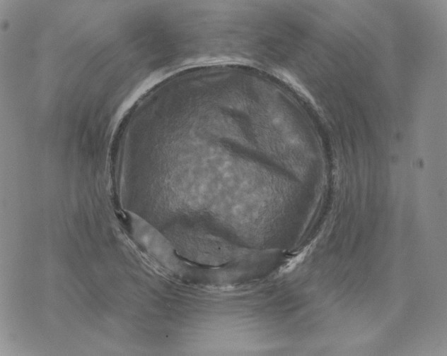 X0000071851173200607211845