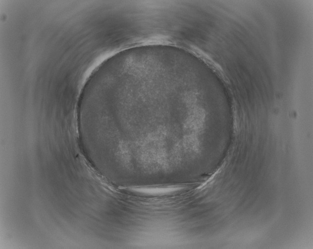 X0000071851174200607211845