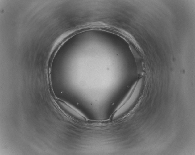 X0000071851176200607211845