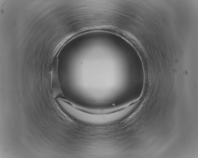 X0000071851177200607211845