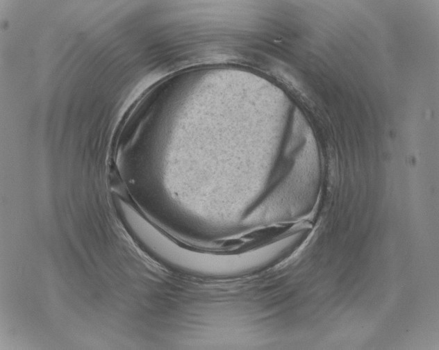 X0000071851178200607211845