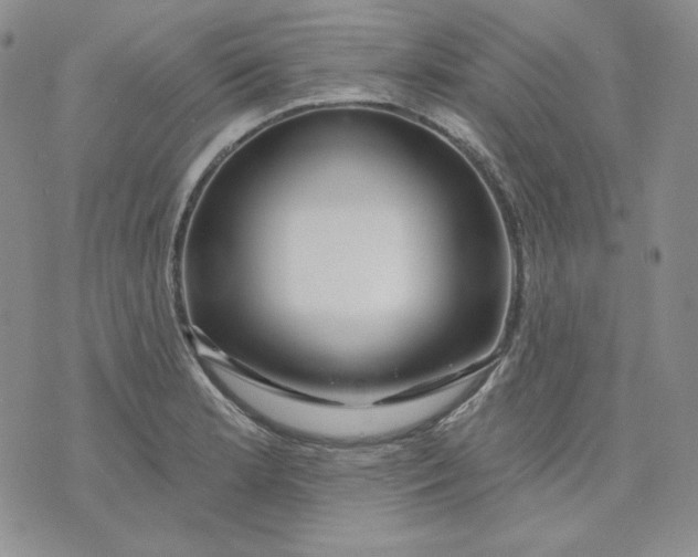 X0000071851181200607211845