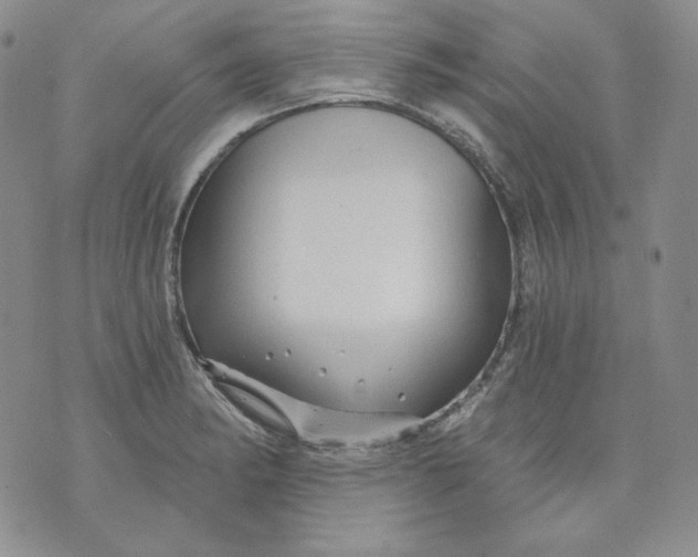 X0000071851182200607211845