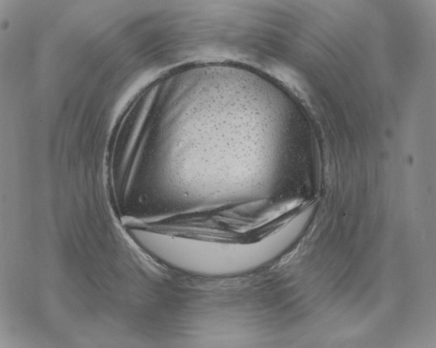 X0000071851183200607211845