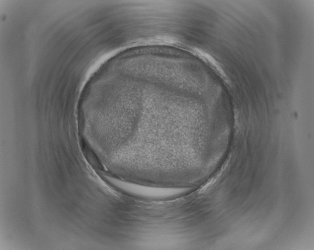 X0000071851184200607211845