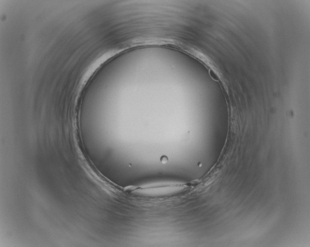 X0000071851187200607211844