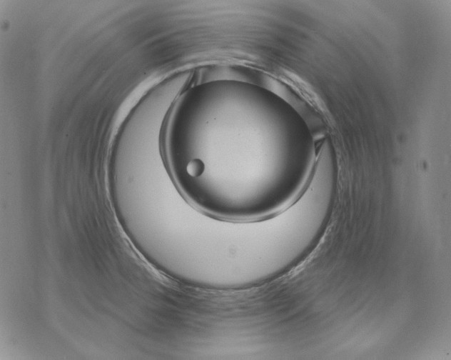 X0000071851188200607211844