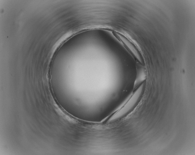 X0000071851189200607211844