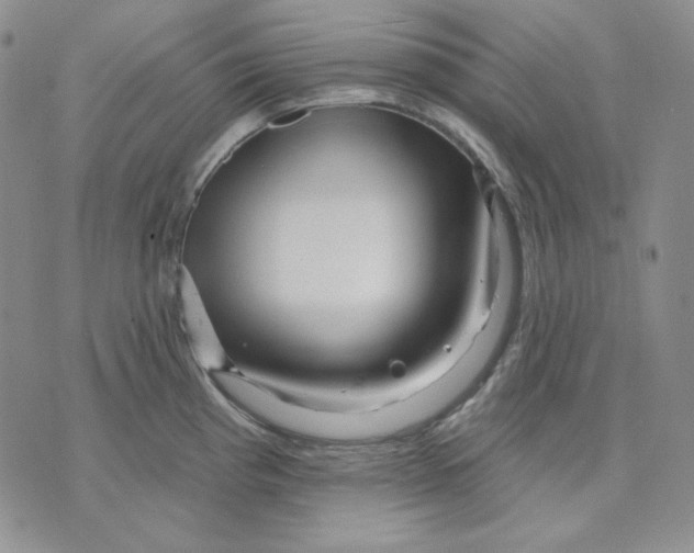 X0000071851193200607211844