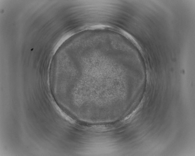 X0000071851194200607211844