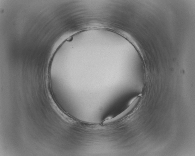 X0000071851195200607211844