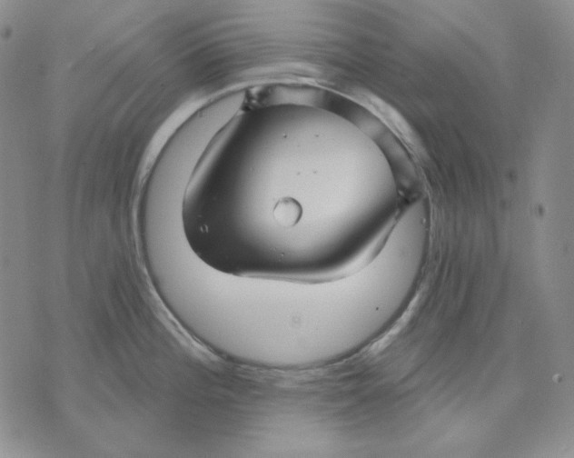 X0000071851196200607211844