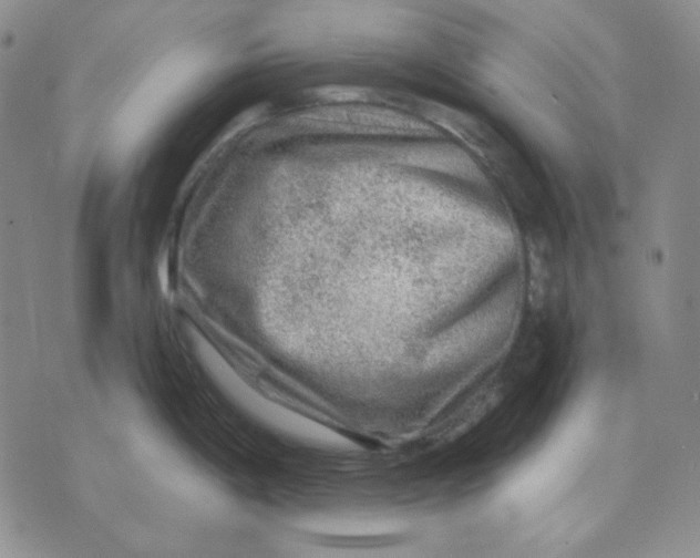 X0000071851198200607211844