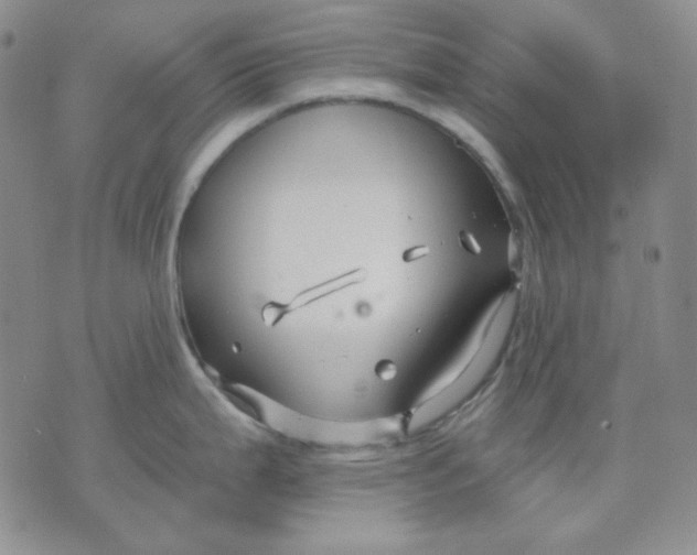 X0000071851199200607211844