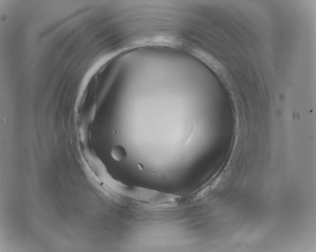 X0000071851200200607211844