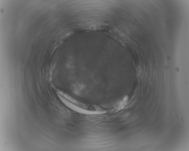 X0000071851202200607211844