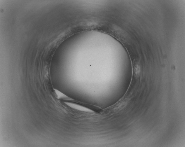 X0000071851204200607211844