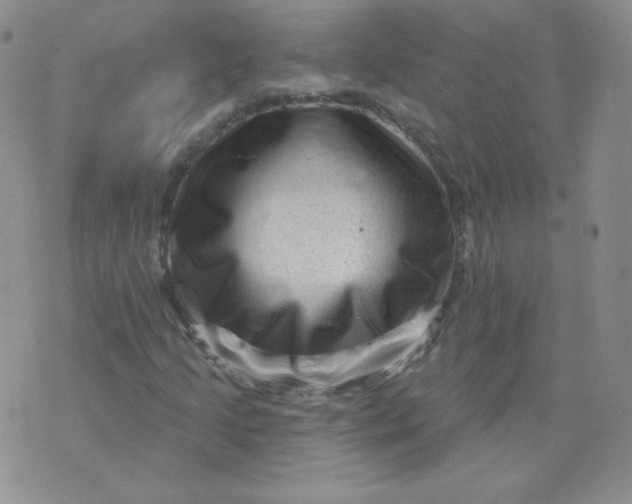 X0000071851205200607211844