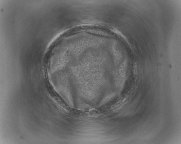 X0000071851208200607211844