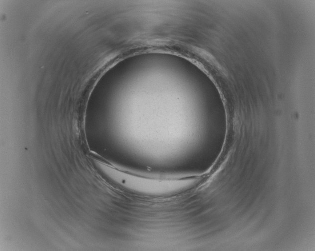 X0000071851209200607211844