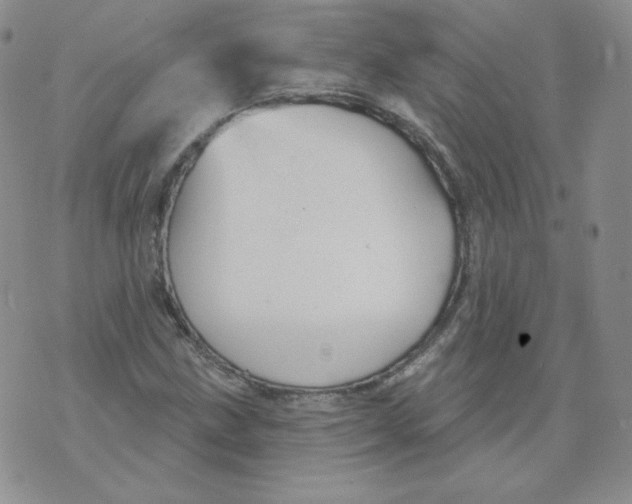 X0000071851211200607211844