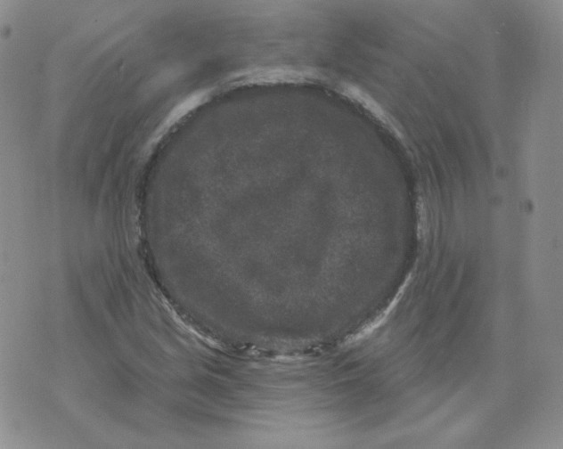 X0000071851213200607211844