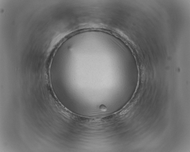 X0000071851215200607211844