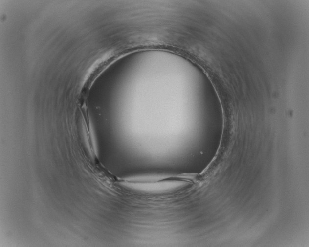 X0000071851218200607211844