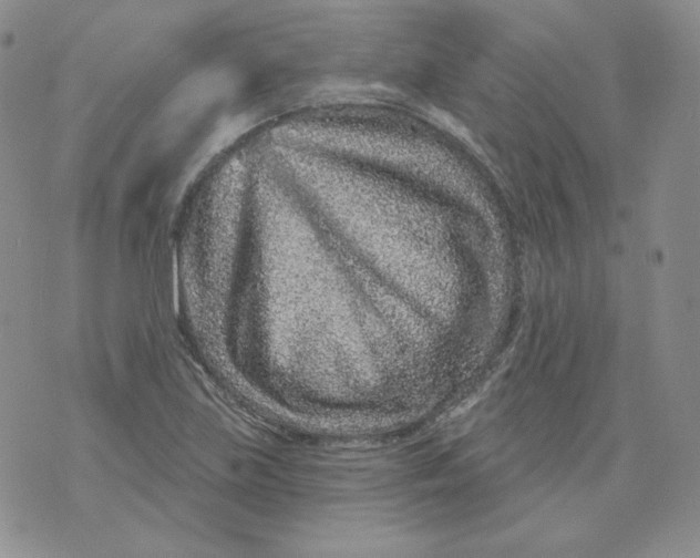 X0000071851219200607211844