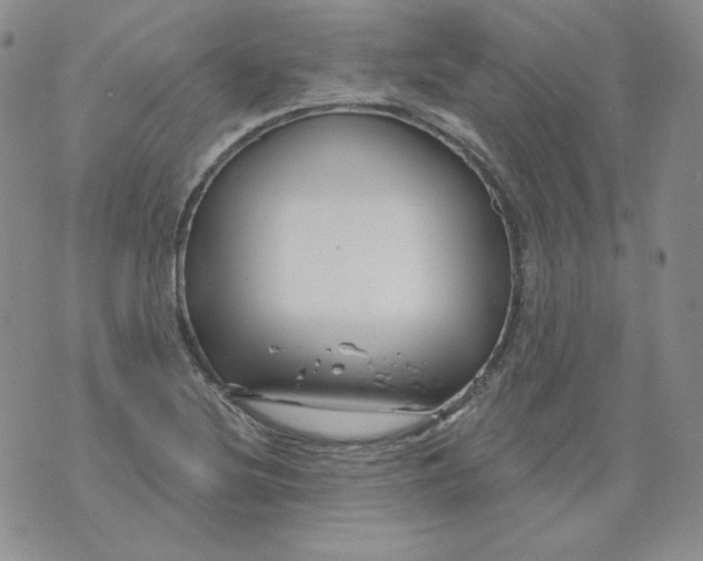 X0000071851220200607211844