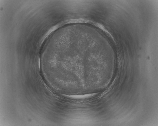 X0000071851221200607211844