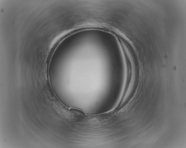 X0000071851222200607211844