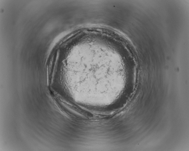 X0000071851223200607211844