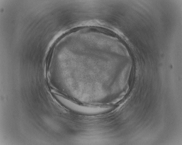 X0000071851224200607211844