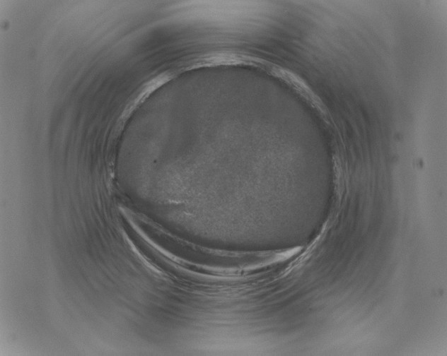 X0000071851225200607211844