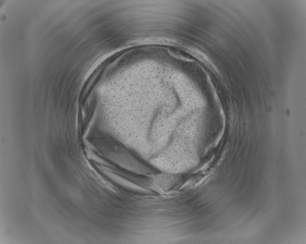 X0000071851228200607211844