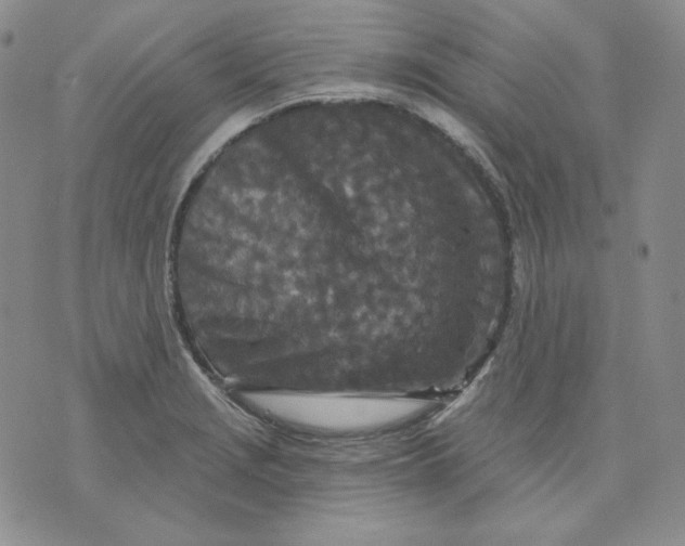 X0000071851229200607211844